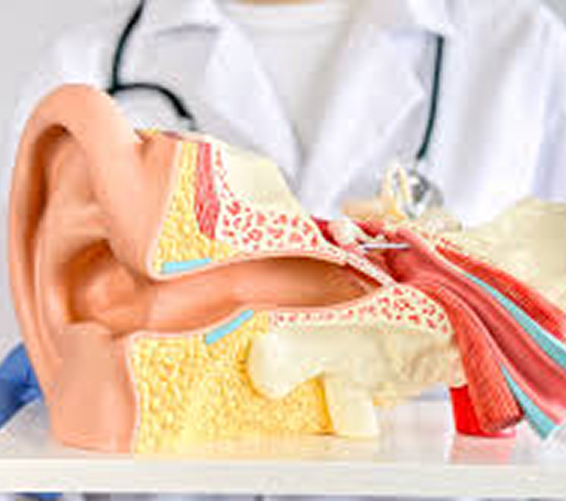 About Otolaryngology