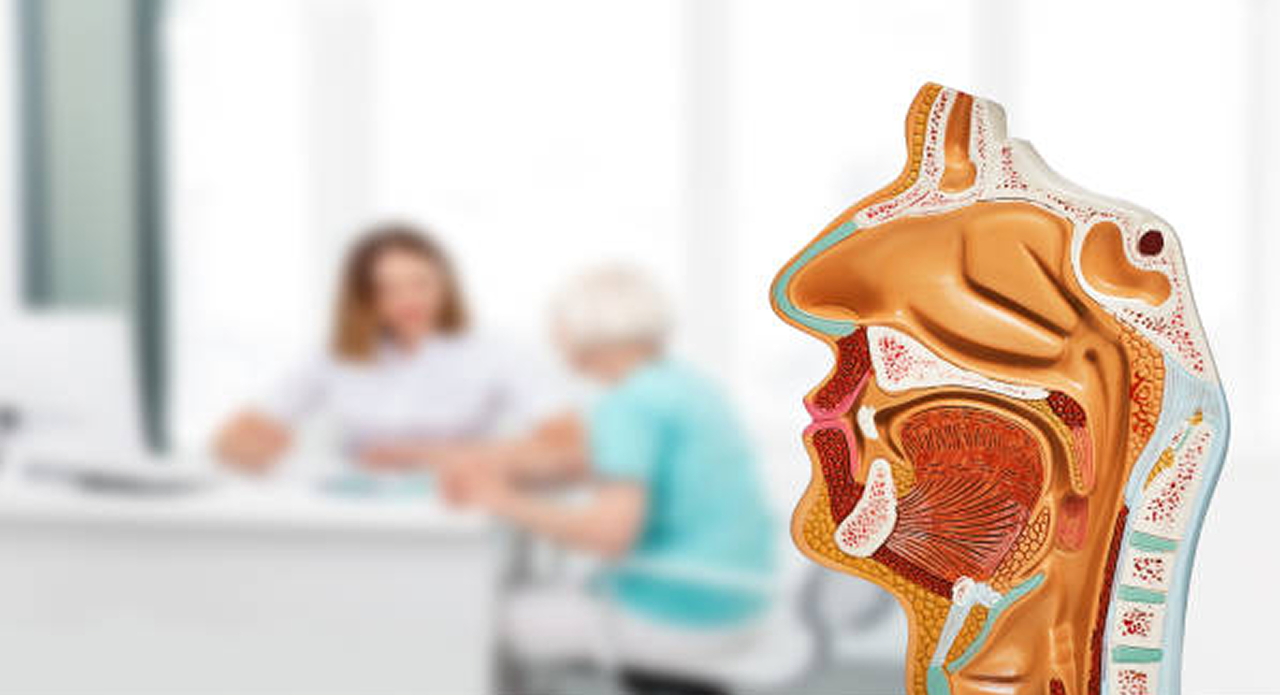 Ear, Nose & Throat disorders